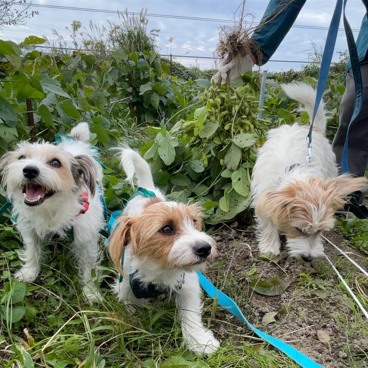 B5a5b3b3 af03 40d4 a297 bc31f6c70936 1761912178487