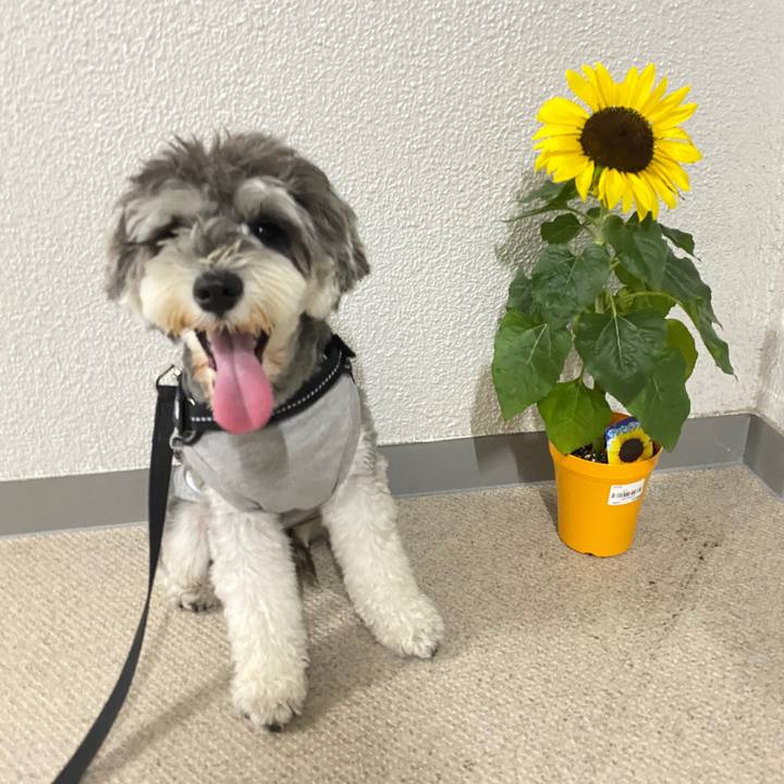 B5a5b73a 9153 4901 91de 35a8835cd21f 1591972696530