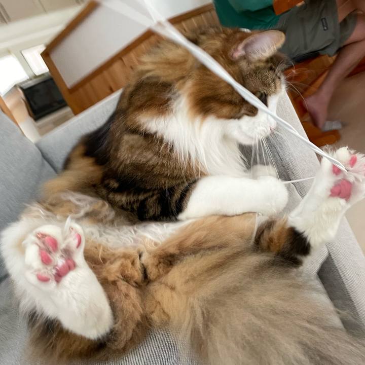 B5a5ba6d 47ad 409d 9a15 488d9eb33917 1657833861019