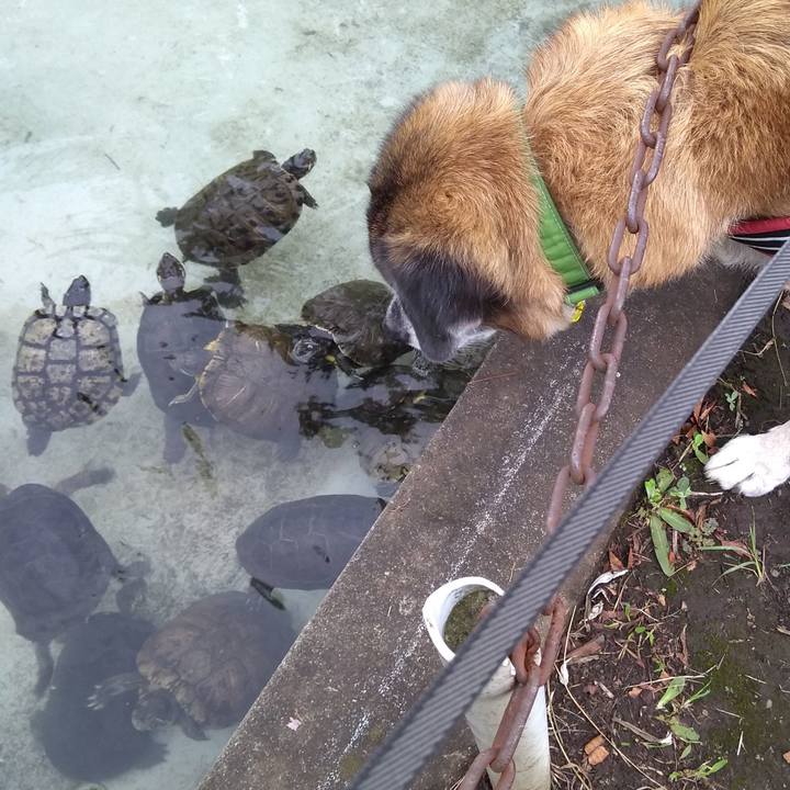 B5a5e5af bab8 46c4 9cc8 35a0d9eb2702 1568850327616