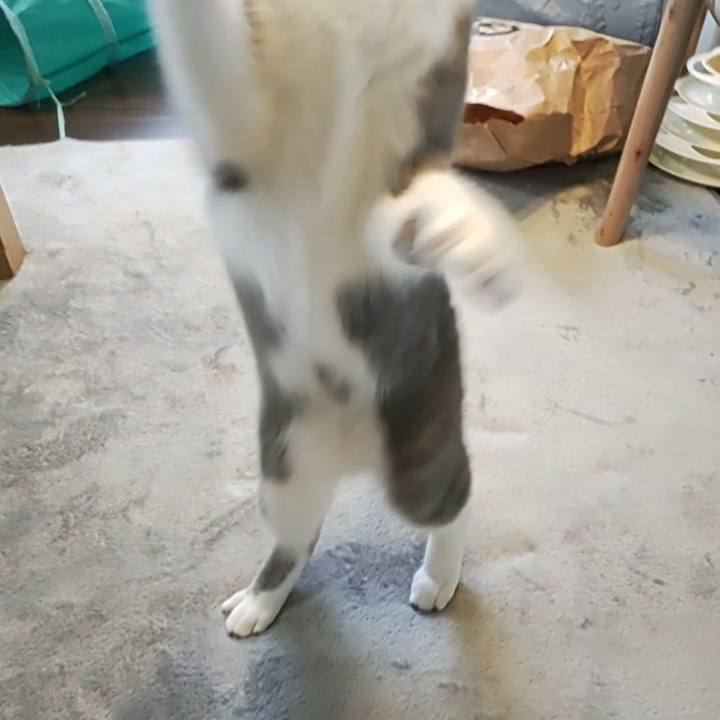 B5a61d1c f43c 4bd1 8fb3 1549ac49436c 1655416804456