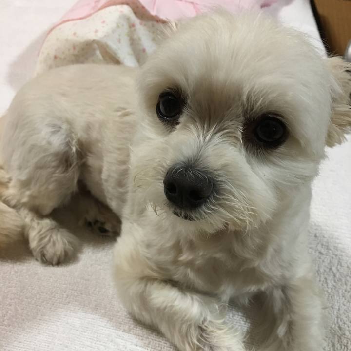 B5a6237d 58e1 4294 b164 9f03f2e7b812 1561285855707