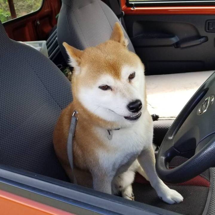 B5a62889 a2ad 4679 bec2 bc6dc528a6c3 1569288062675