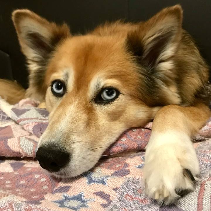 B5a630ad fe0d 4a6c 97d8 a84746d94db3 1538712286814