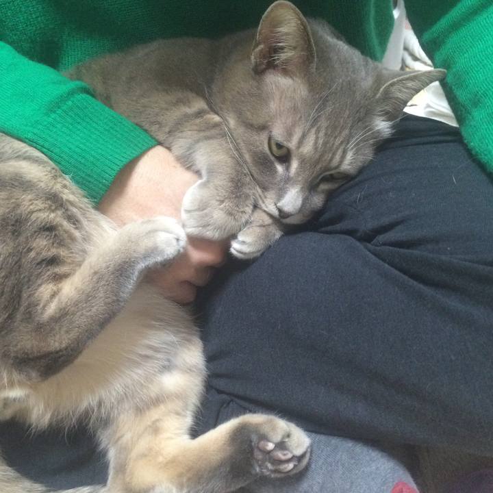 B5a66731 a464 475e 999d 303ee02ec70a 1517059924974