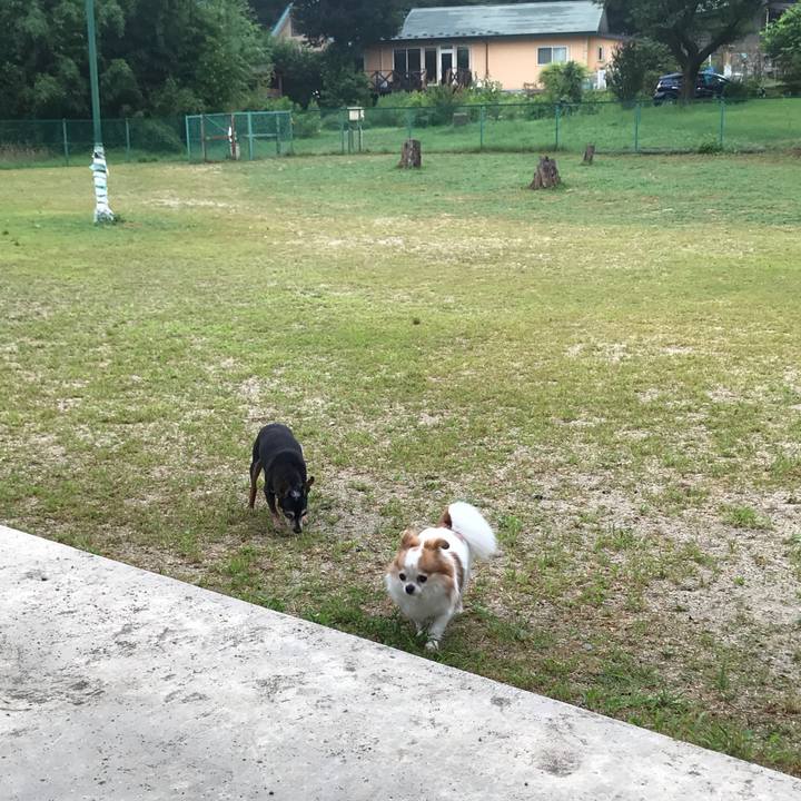 B5a671e6 8549 4524 a248 231b2e5359b9 1566304546494