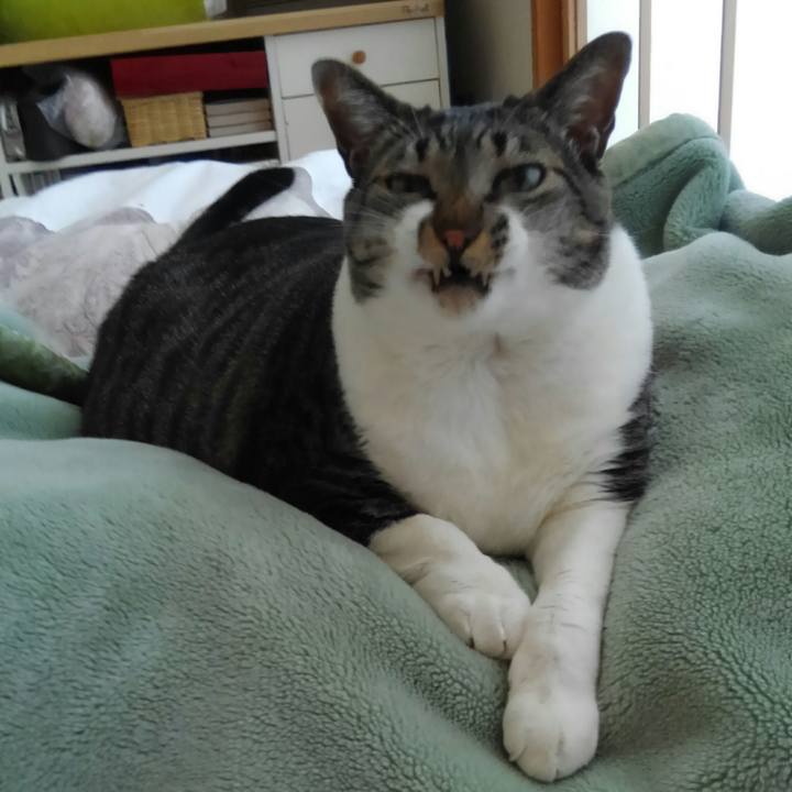 B5a6727a 6f01 44bf 87be ec911fdce9b5 1511567521674