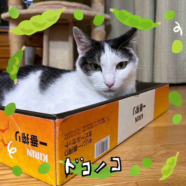 B5a6ac95 2afc 46b0 893f 7131b1e62a97 1721041792268