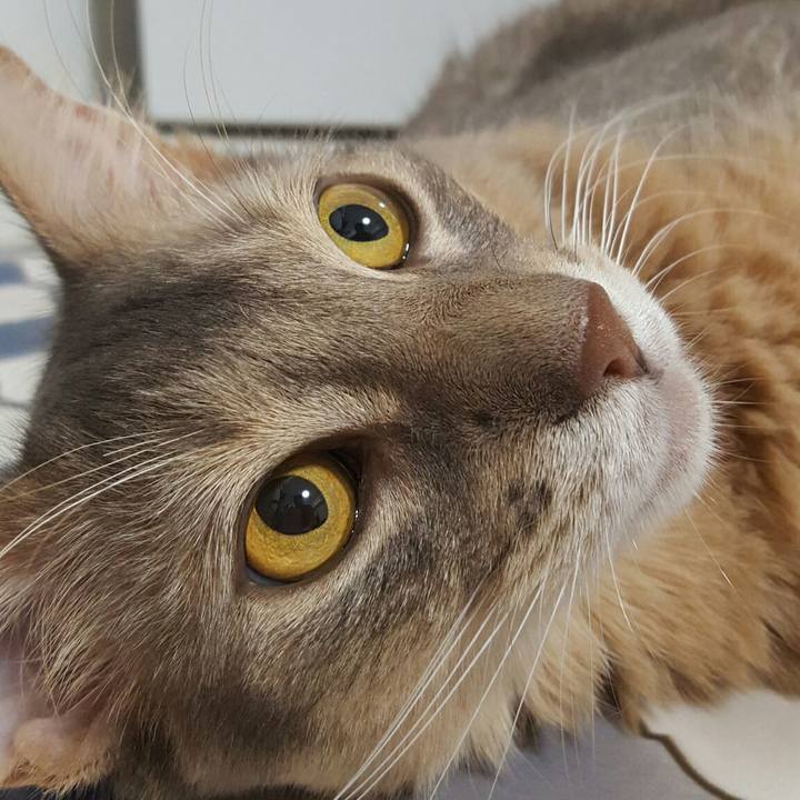 B5a6aca2 3bbe 4626 bfaf 0acd4a2b7d65 1536405387749