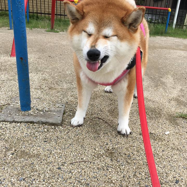 B5a6dc52 0196 4d10 a0c7 109ceb665f24 1595820976487