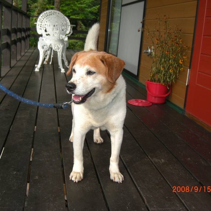 B5a6ebc4 a4f4 4ab8 a6da 0fcf39018beb 1513246173224