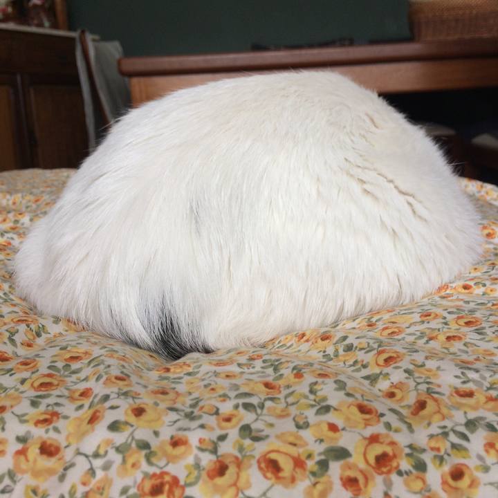 B5a6ecdf 077b 454c a388 3cf0b6c06874 1541860579008