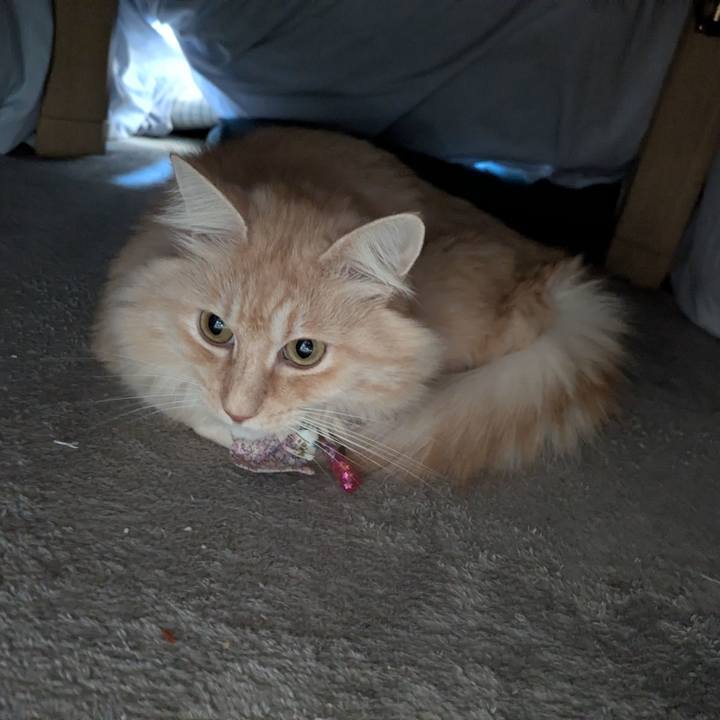 B5a6f25b 90f9 4233 bf5b 4455c9362bdf 1764898836258