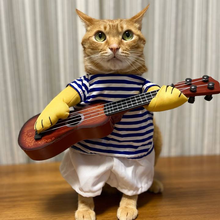 B5a7194e d97b 4184 8704 2d3384b9b202 1652790888124