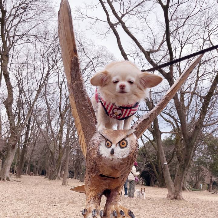 B5a788c4 eacc 4769 941f 3f26b6a7ef30 1737275053152