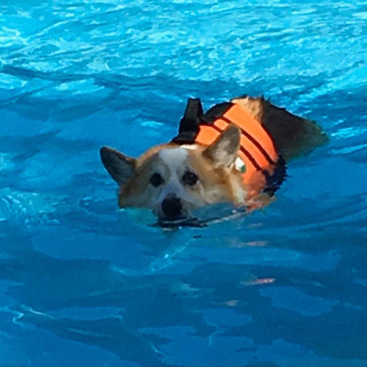 B5a78cce 1899 4362 96e0 0a5228d6be2c 1536625245579