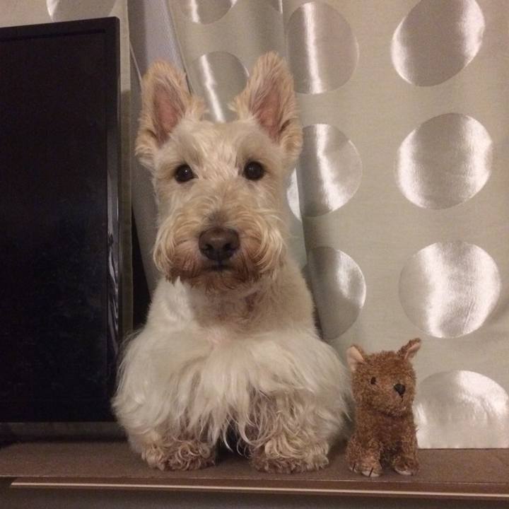 B5a79a94 7863 49c6 954b 61a378c6fc57 1533305709646