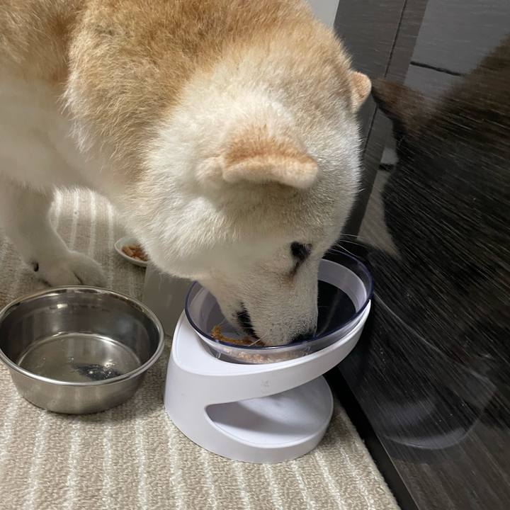 B5a79f0e 9b02 4016 9654 a3b2bac62370 1718920676074