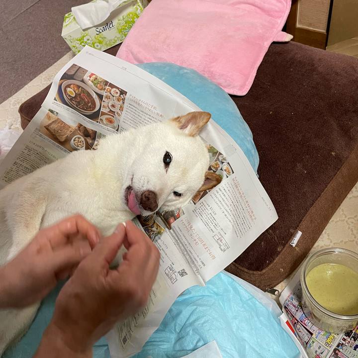 B5a7efdc 26f9 4ede 9029 c4128f4b5c01 1666057076899