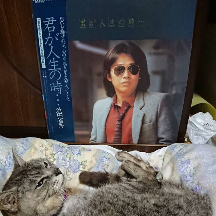 B5a823e0 c889 4ff6 9b95 7892b663e752 1596201257602