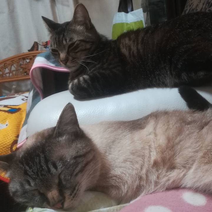 B5a85012 f62d 4bff ba15 c28b7f4e908d 1527516910151