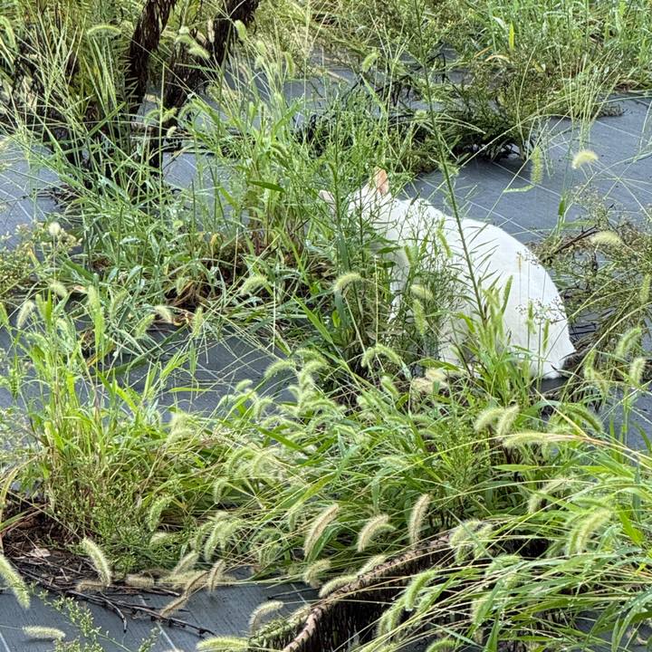 B5a8bd61 66e9 4768 b671 2848812b800b 1757646126155