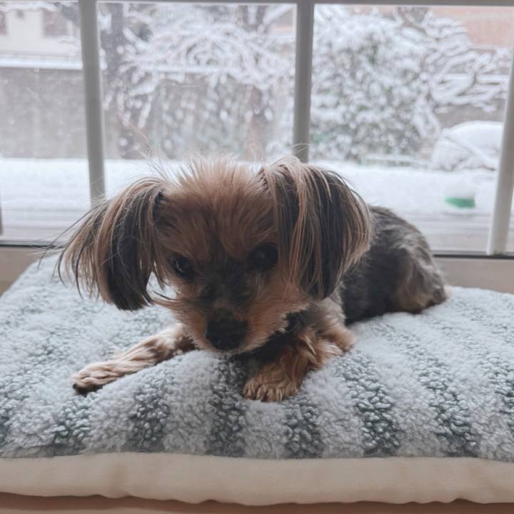 B5a8f378 f75b 4f0d 85fa 4de42866525e 1770517207081