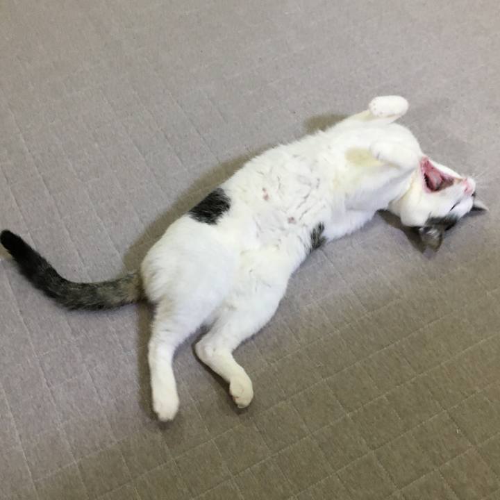 B5a92c32 55d7 4f6c 9f4c 17c46b6a8901 1645960084070