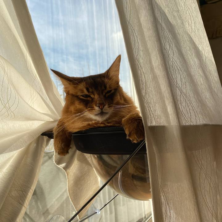 B5a93c65 3fd0 4199 8a6c c2d931d8c898 1642555325737