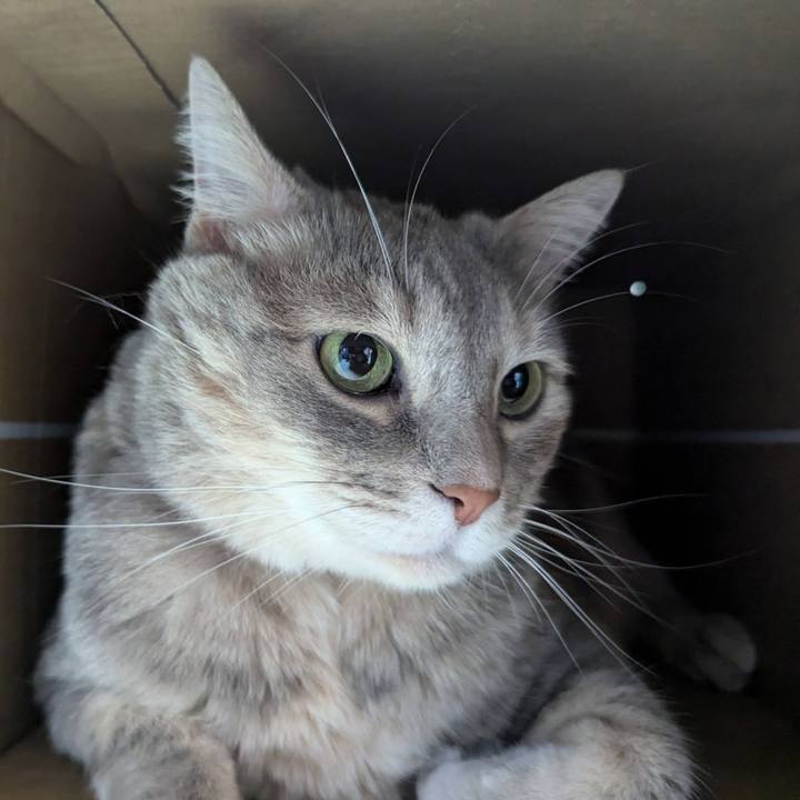 B5a98df7 808f 4e2f b899 a89e8a792e50 1722734353589