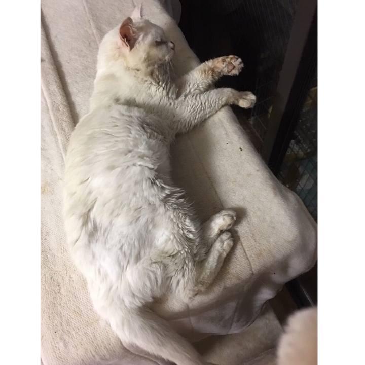 B5a99b44 8b42 42ab b196 abd74e919cfa 1547744893031