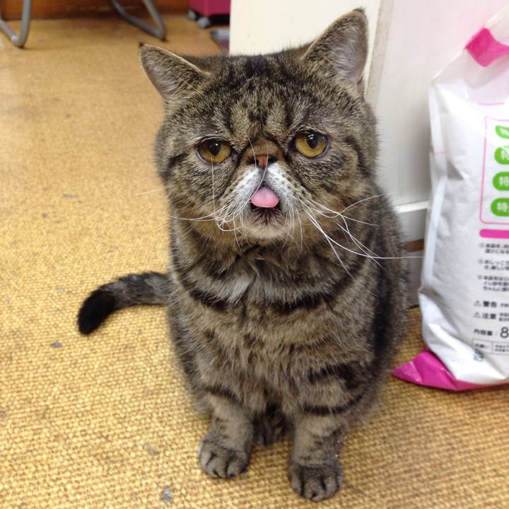 B5a9a916 7264 4562 82f1 e9b552cd3f54 1512181848326