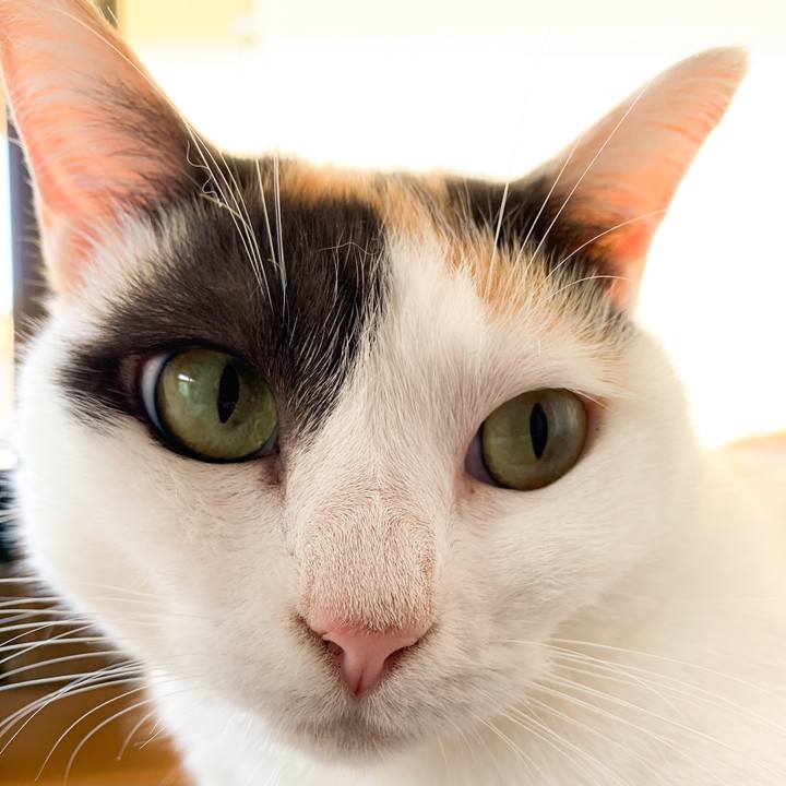 B5a9cfb9 884f 4466 b9c3 1e1595c268e7 1569893529200