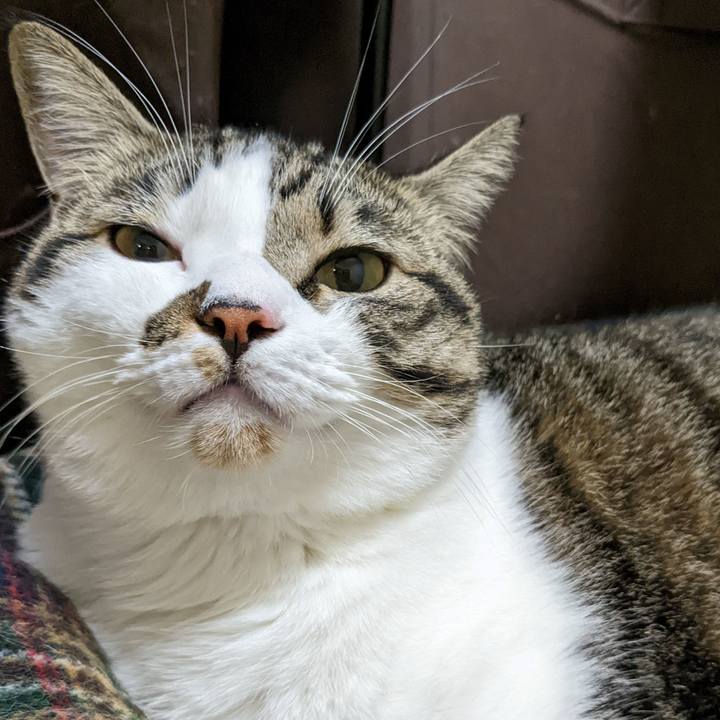 B5a9de35 2713 4618 86d2 83229ab1f9cc 1666613765429