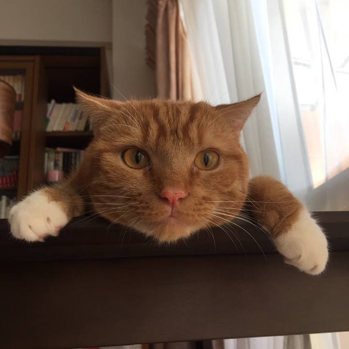 B5aa00a4 4fe0 40eb a8da 5ebb2dec09f7 1539038024879