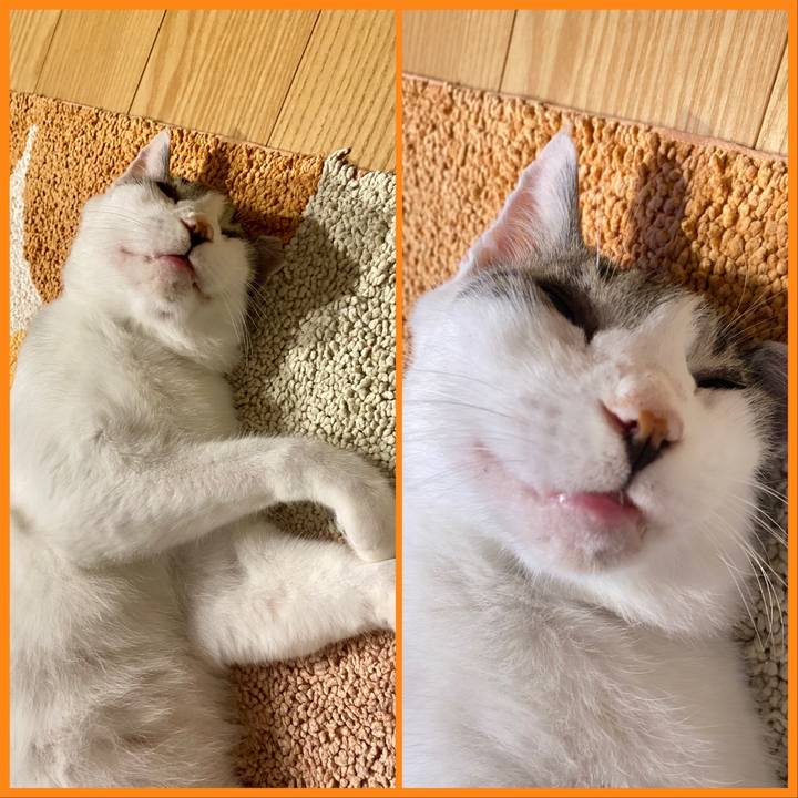 B5aa2567 9320 450b bfa2 8514c2b70ba3 1660349170352