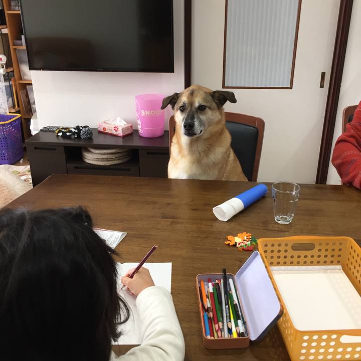 B5aa5bf1 21d4 4706 b542 f3dc2ebe9dce 1546230374881