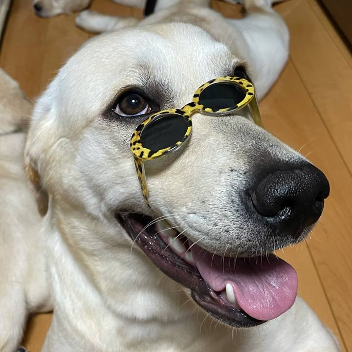 B5aa6007 d726 477a 9660 ff4362091477 1628649208748