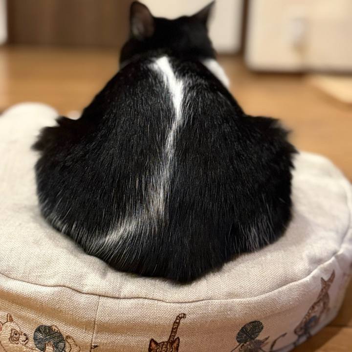 B5aa8986 6a00 489e 9472 3eca9e20c592 1767170099289