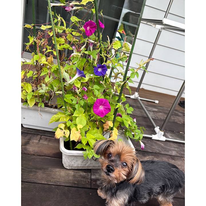 B5aaba6f 0ea2 415c bc3b 7256ea8c48c8 1758411631018