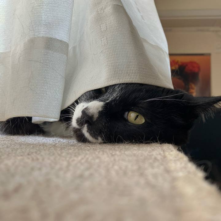 B5aae5a7 493d 4dbf 87ff 36c1e7f53c97 1750224087785