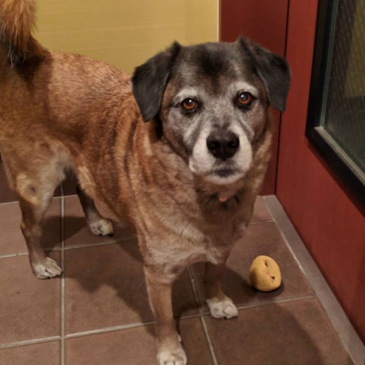 B5ab7142 42aa 4d59 b8e8 3c4a37e9994e 1519039255815