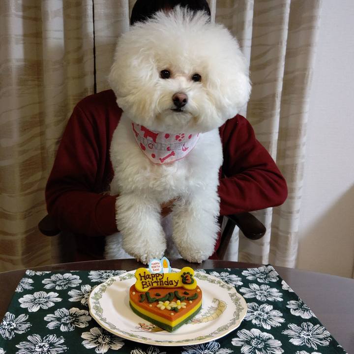 B5ab760c 1706 46c3 9928 12101a0c2aa0 1580468201297