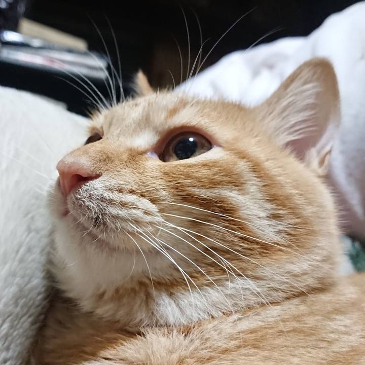 B5ab7cd4 a883 457b abbe 33d45c8be6c3 1637932088628