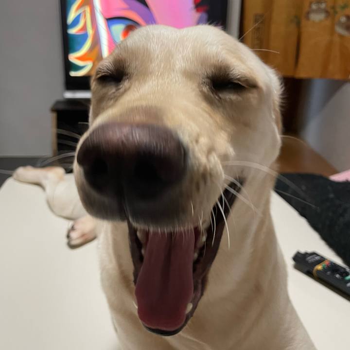 B5ab8522 76e4 42a1 95ef 1ac0a16c5556 1645448214206