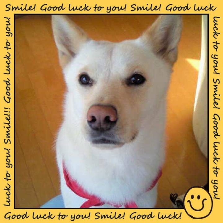 B5abc620 1e67 4383 81f3 c546488a60c8 1534939515540