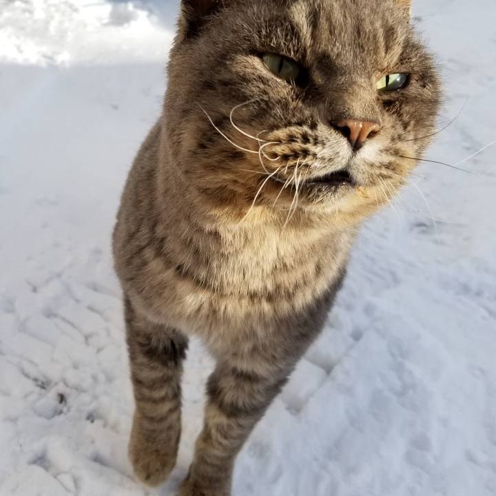 B5abf807 4a08 4b00 8f02 05acddc3e8bd 1546944862595