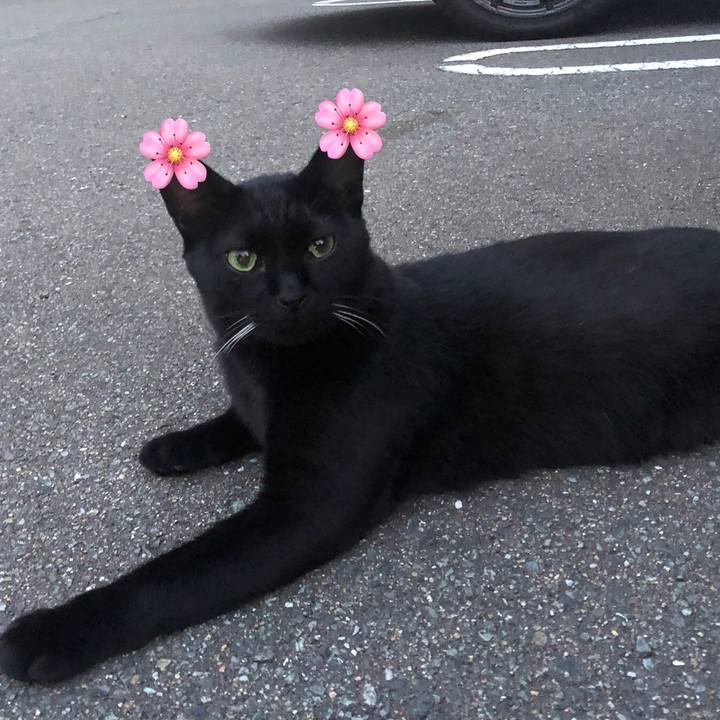 B5ac0fee 46eb 4879 818f b7c7ab5ea03e 1661836131278