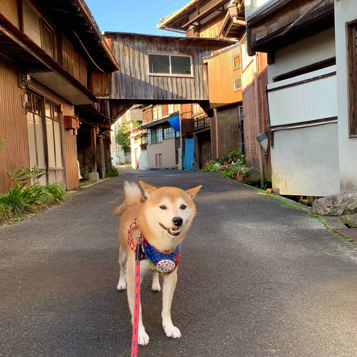 B5ac1b3c c33f 40a3 8a00 869b00cd6c1b 1631177836799