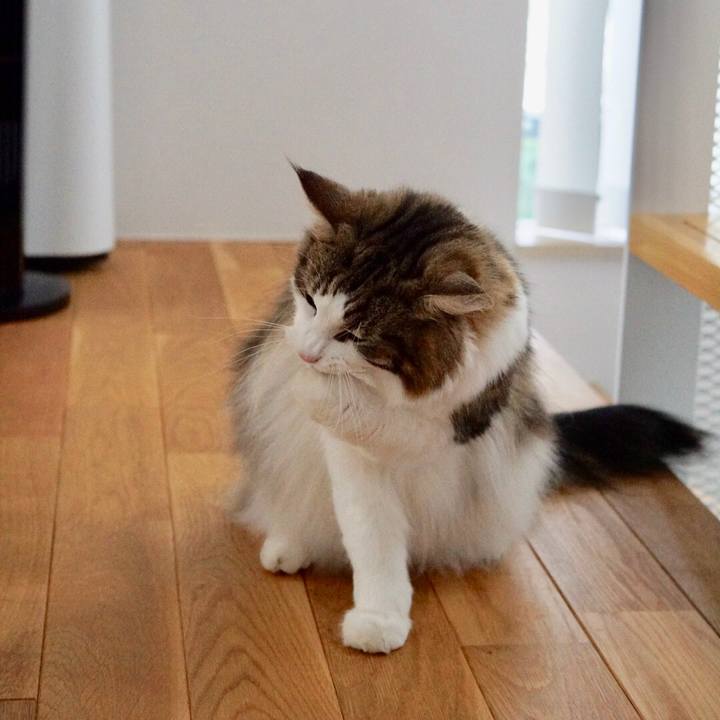 B5ac1bbf b2cd 4a3d a341 1e3a6aa72ada 1570420463033